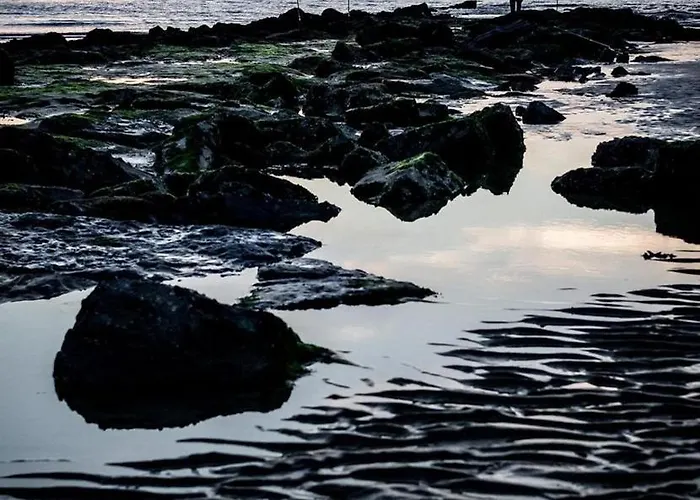 Villa Ensorpark Oostende