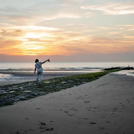 Ensorpark 别墅 奥斯滕德